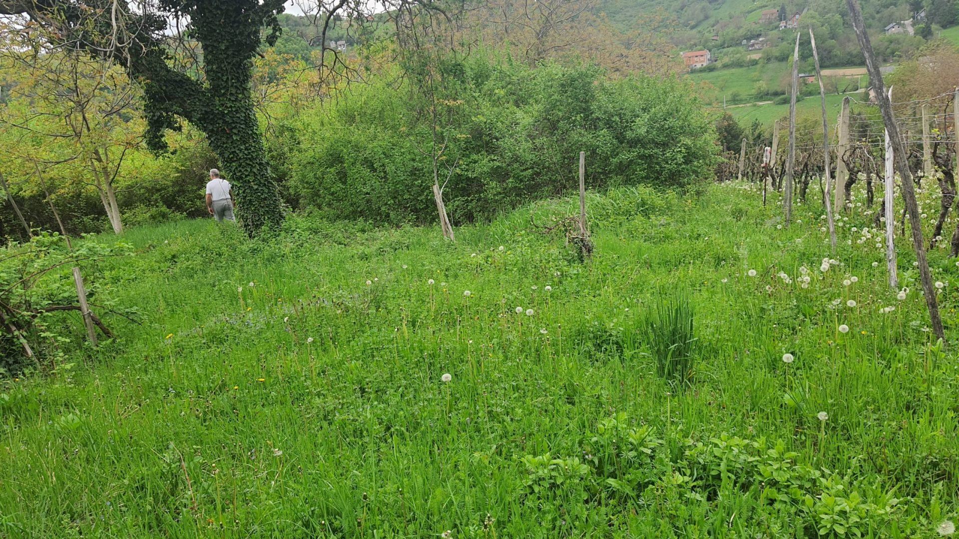 Zeleno zemljište uz vikendicu u Prekvršju okruženo prirodom