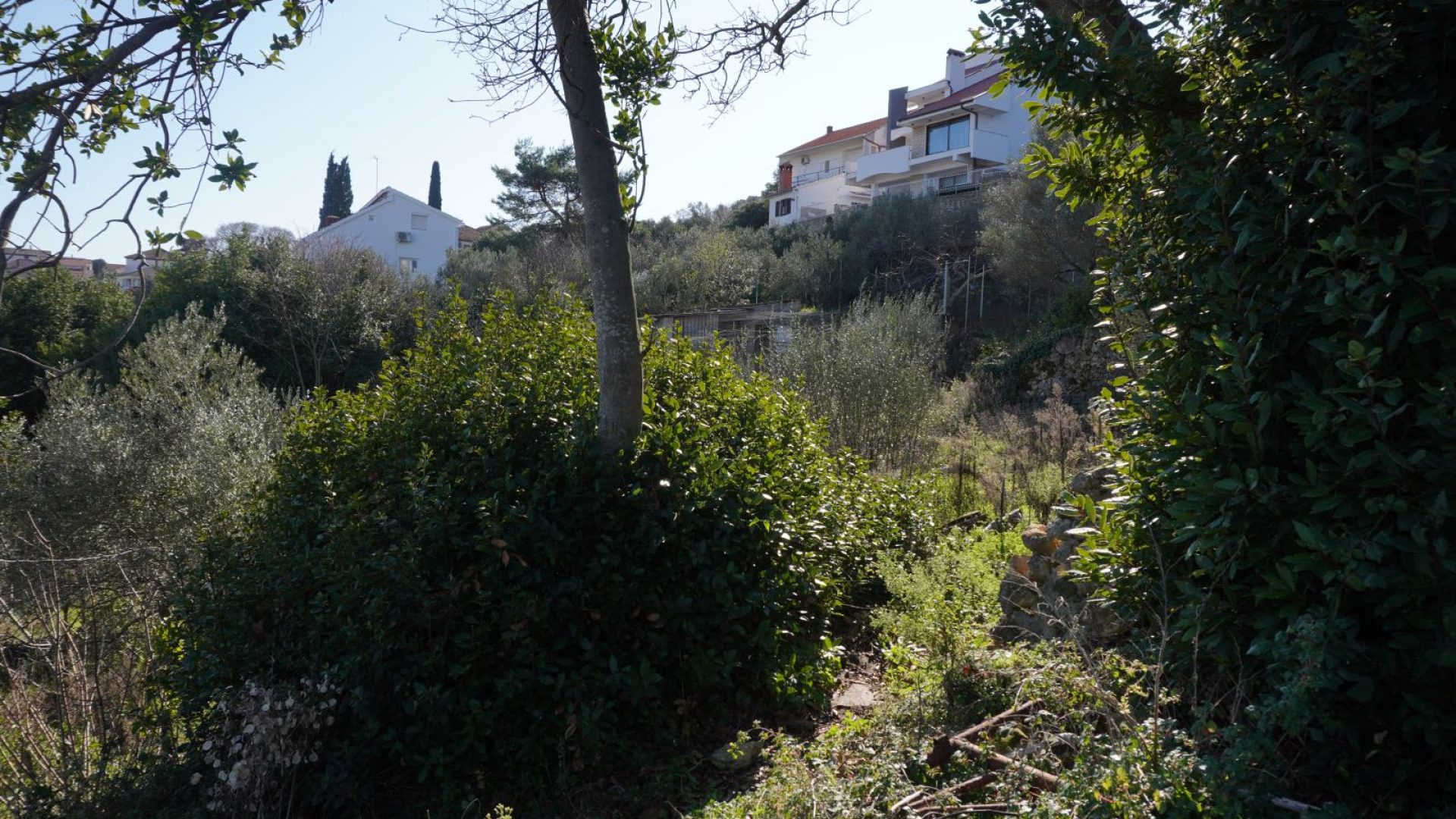 gradevinsko-zemljiste-kali-426-m-slika-269753644