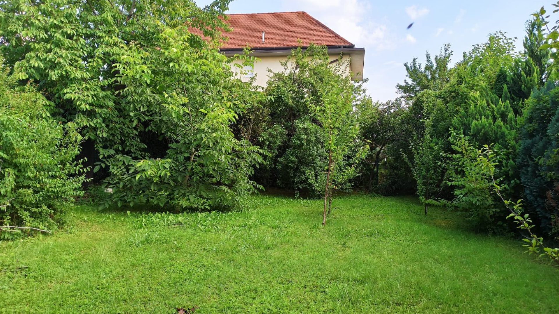 gradevinsko-zemljiste-novaki-slika-260094982
