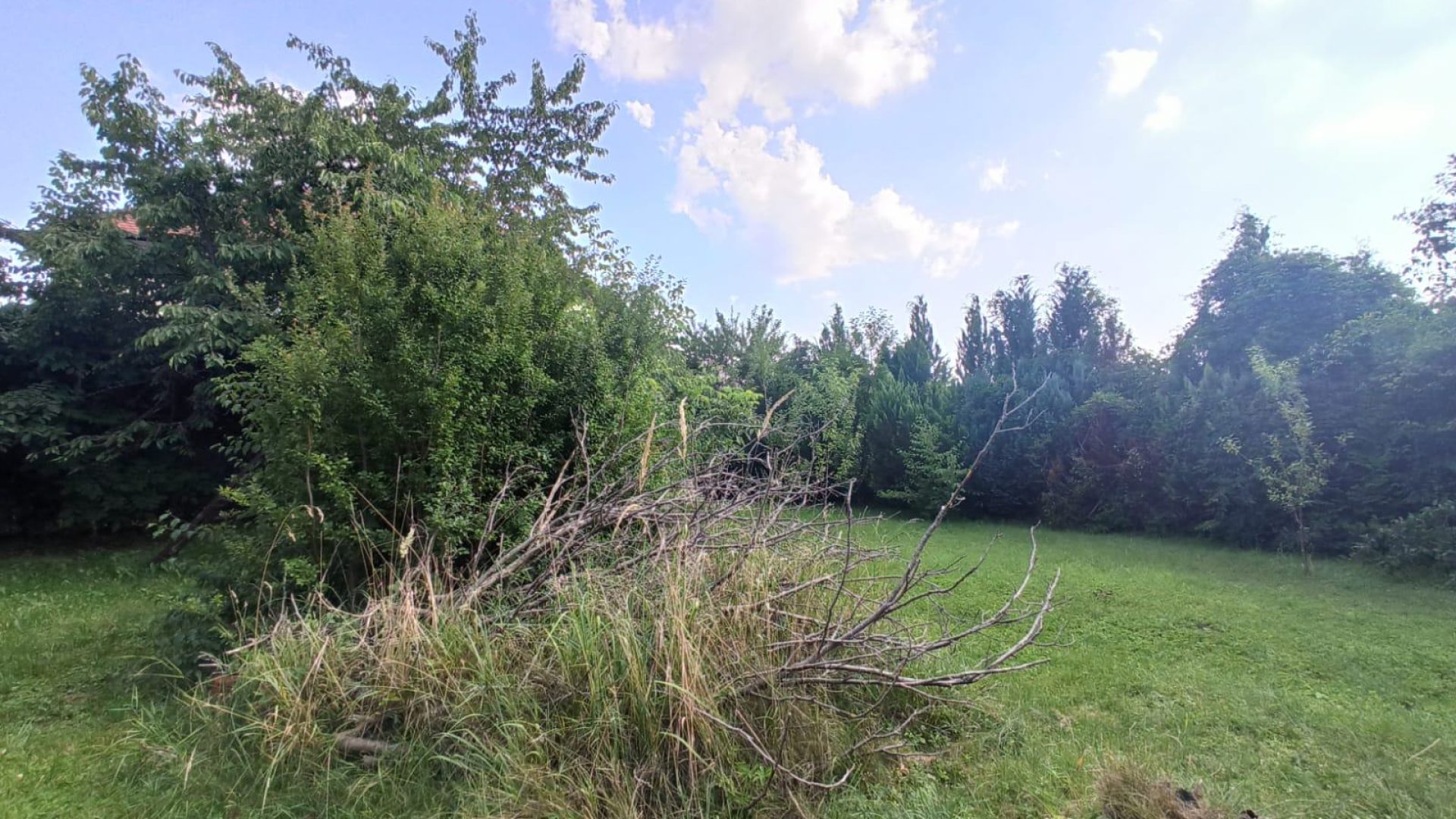 gradevinsko-zemljiste-novaki-slika-260094983