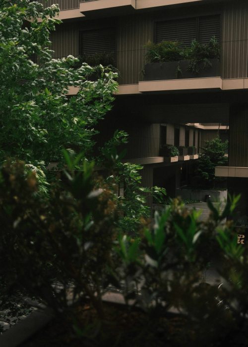 marko-bianchi-trzfsfgTdfA-unsplash-2-2