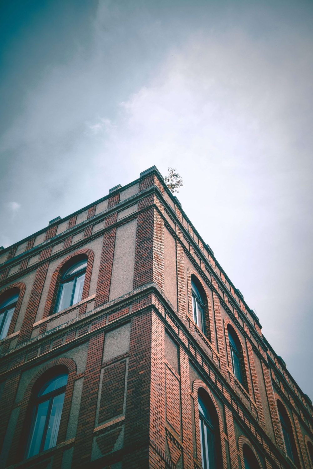 odalv-qLc4WqdzgIo-unsplash-2